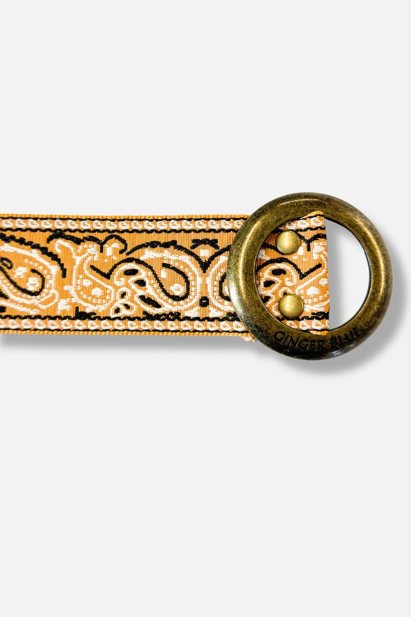 Paisley Please Belt - Gold & Yellow