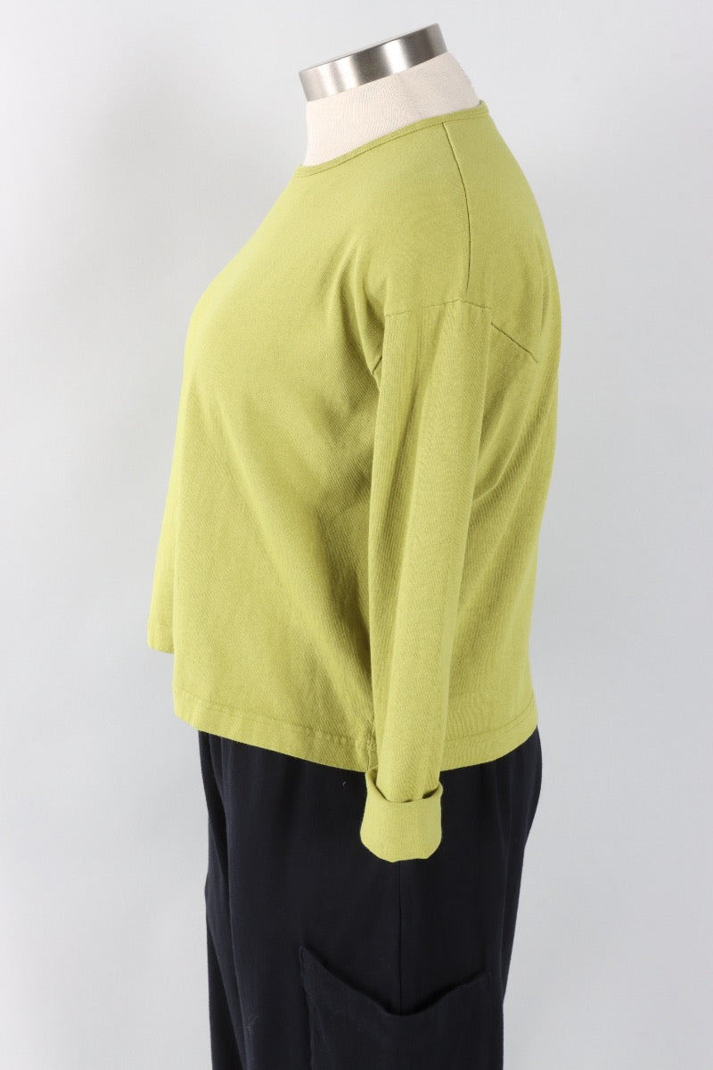 Long Sleeve Crop Crew - Lacewing