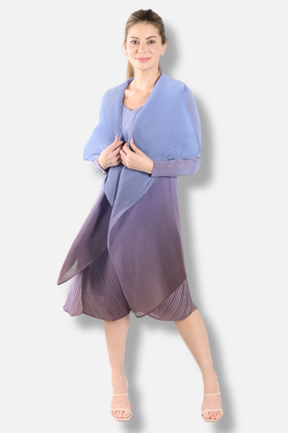 Short Collare Coat - Grapemist to Stone
