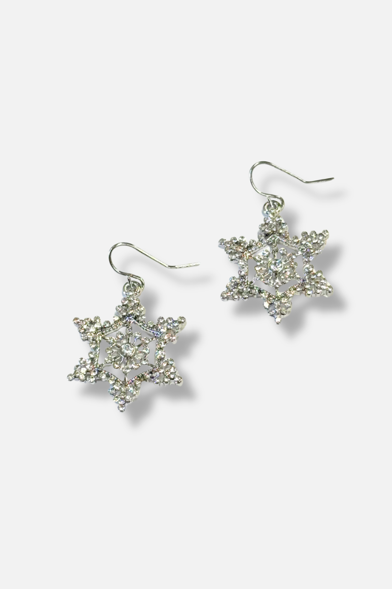 Frosted Snowflake Earrings