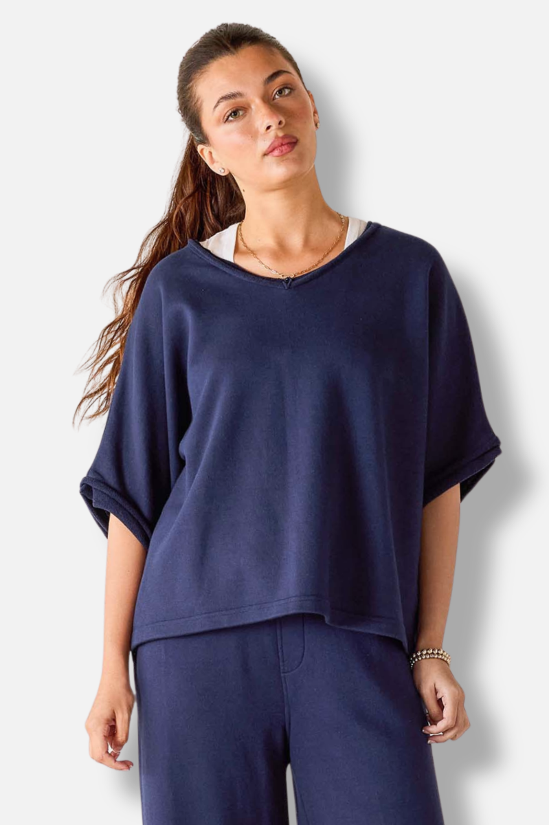 Frenchie V-Neck Sweatshirt - Cadet Blue